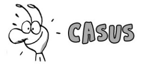casus2